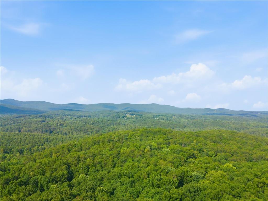 225 Overlook Circle Property Photo 42