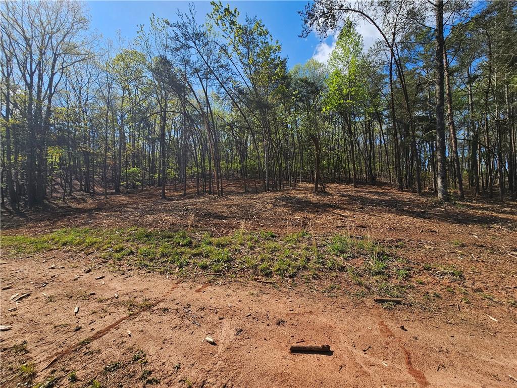 00 Old Federal Road Property Photo 5