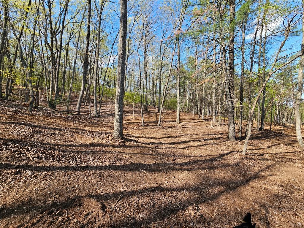 00 Old Federal Road Property Photo 6