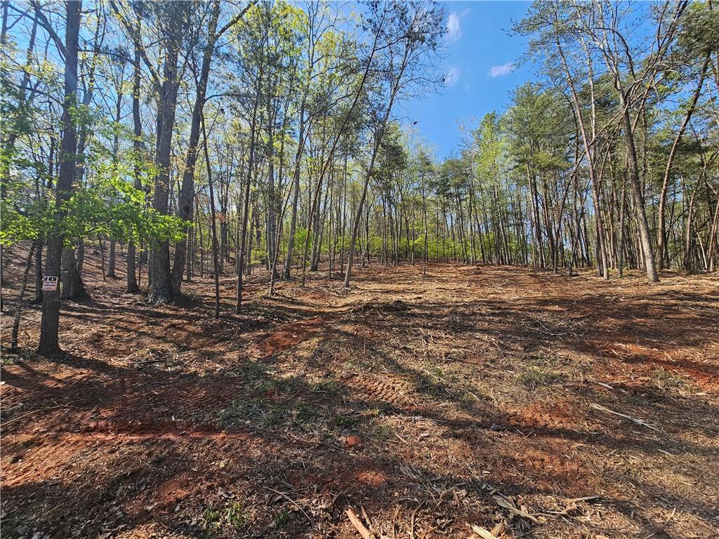 00 Old Federal Road Property Photo 7