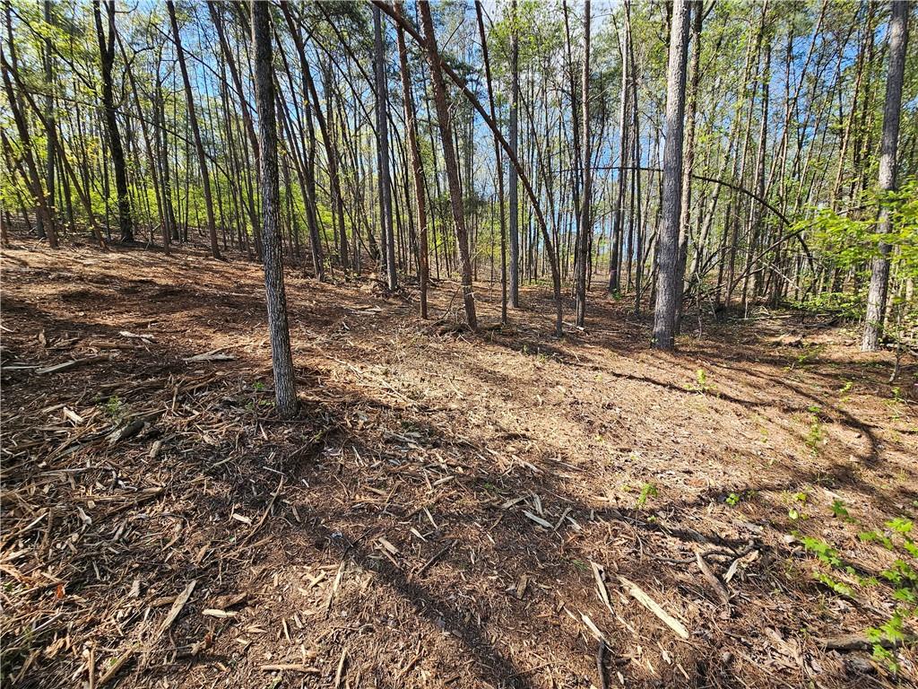 00 Old Federal Road Property Photo 8