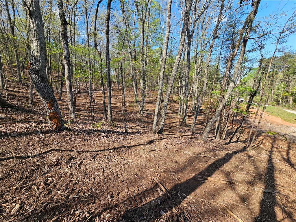00 Old Federal Road Property Photo 15
