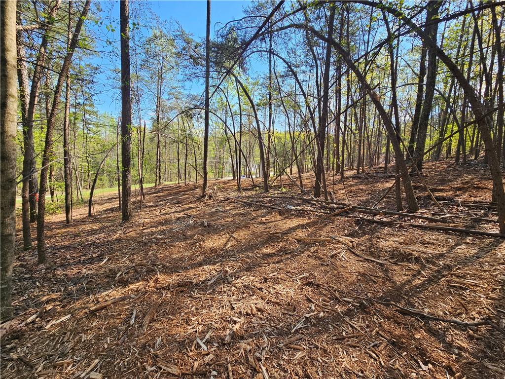 00 Old Federal Road Property Photo 16