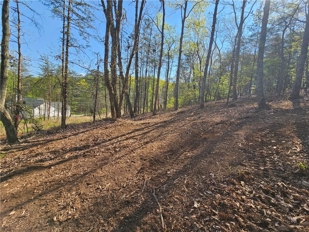00 Old Federal Road Property Photo 18