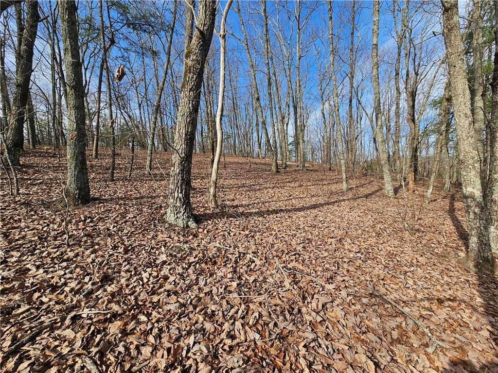 00 Old Federal Road Property Photo 20