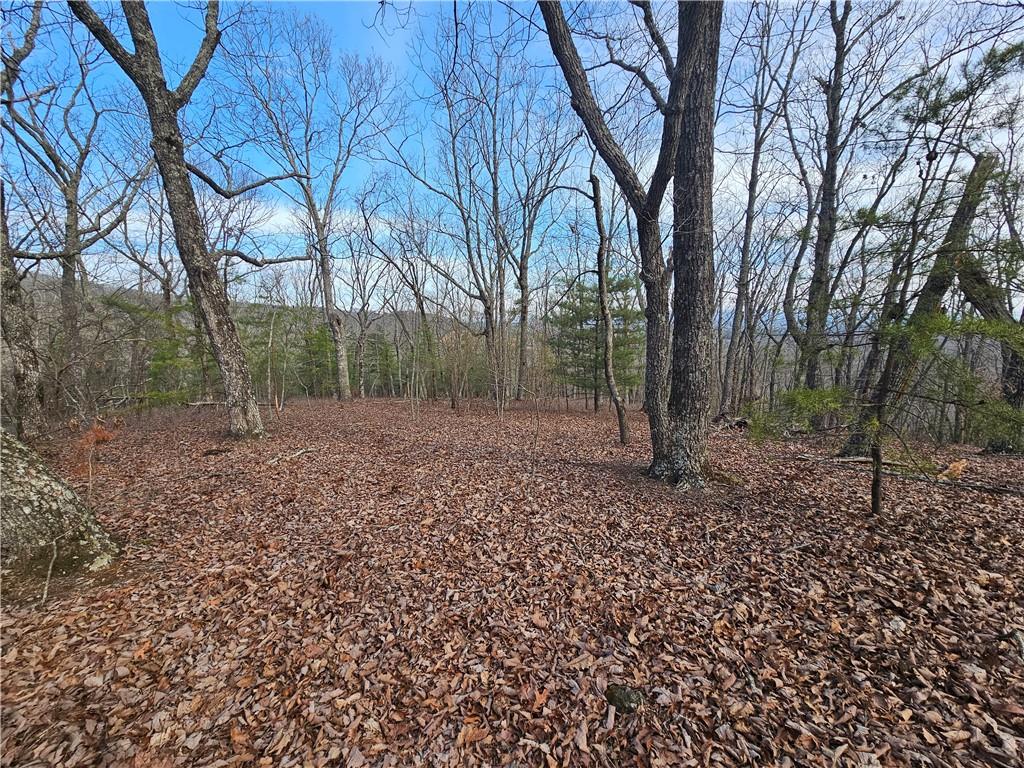 00 Old Federal Road Property Photo 22
