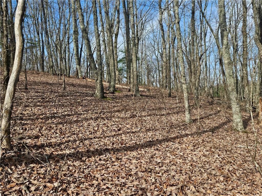 00 Old Federal Road Property Photo 23