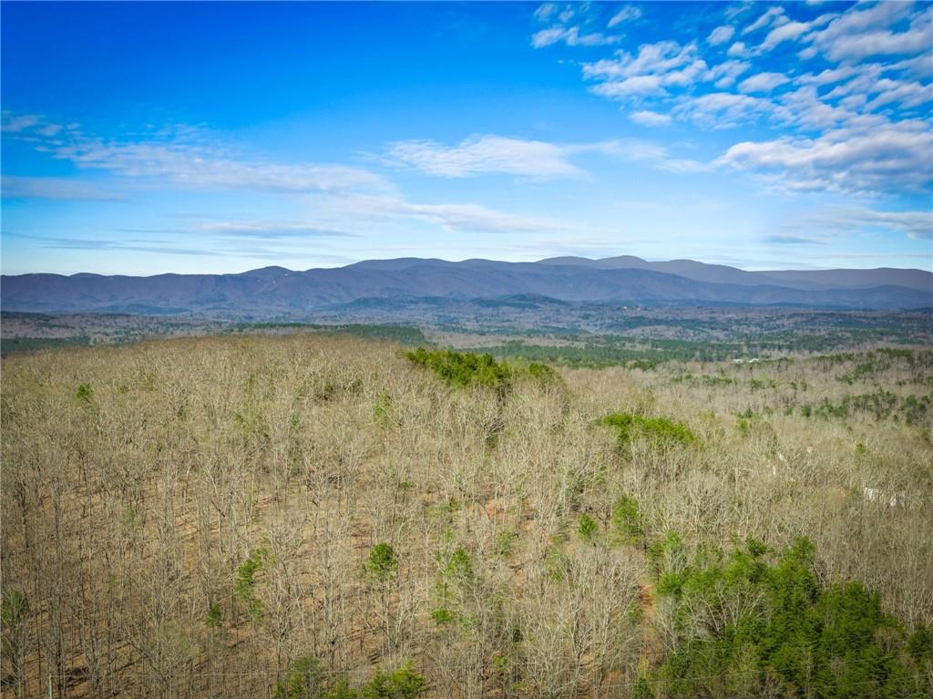 00 Old Federal Road Property Photo 25