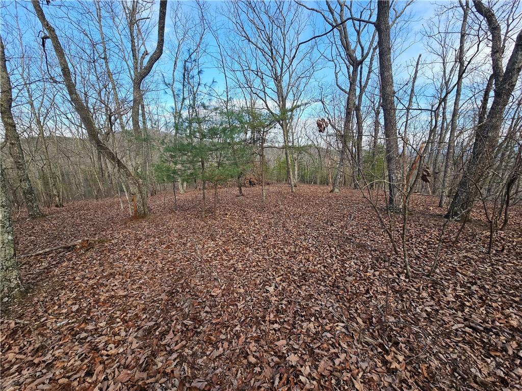 00 Old Federal Road Property Photo 27