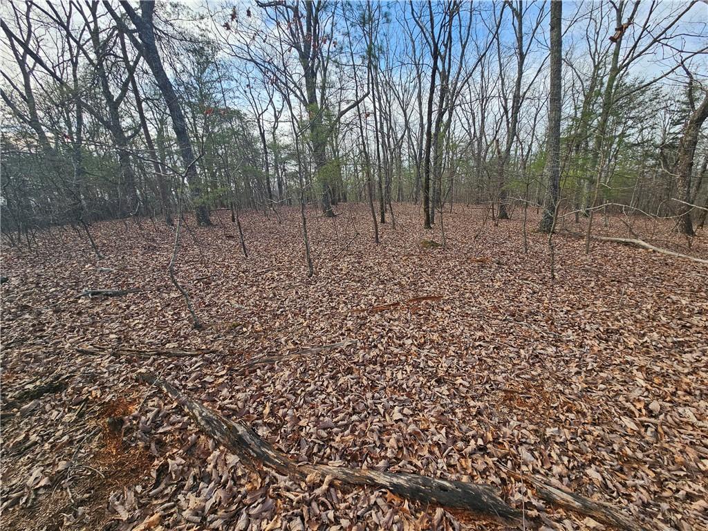 00 Old Federal Road Property Photo 28