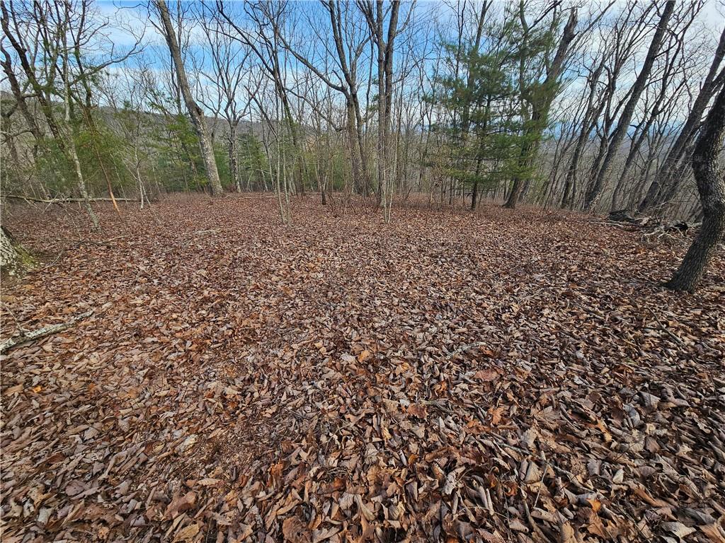 00 Old Federal Road Property Photo 29
