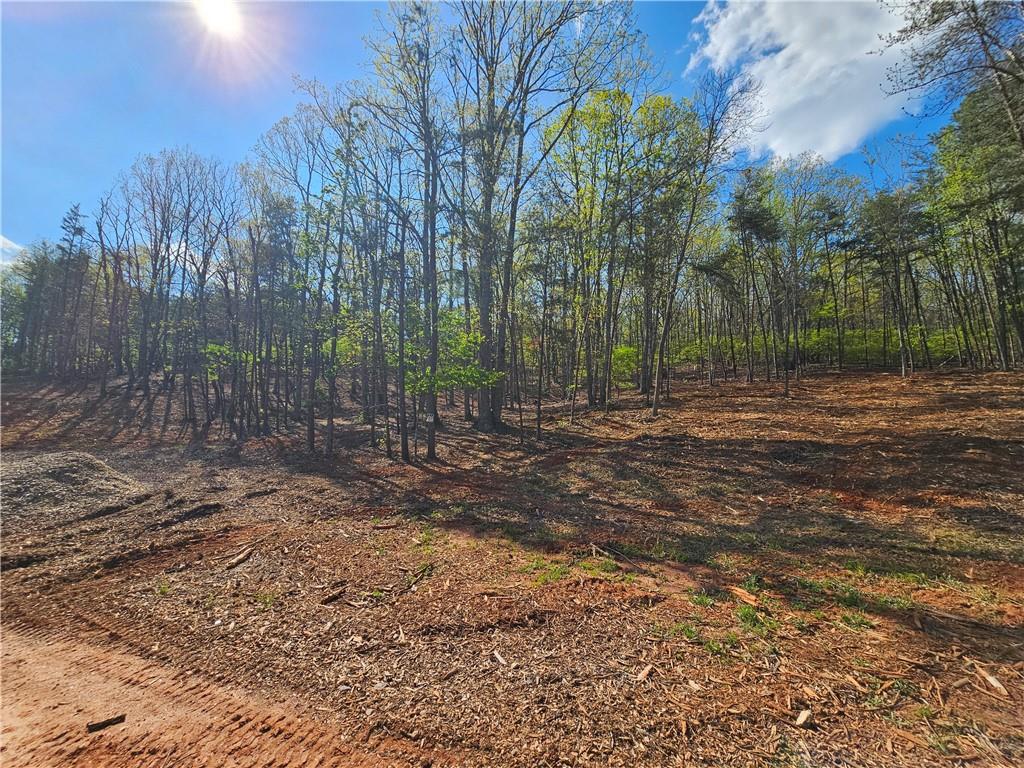 00 Old Federal Road Property Photo 31