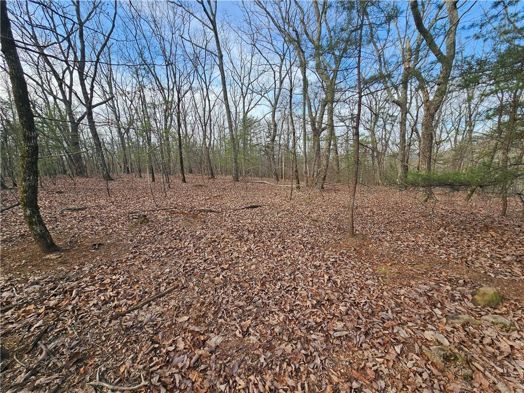 00 Old Federal Road Property Photo 35