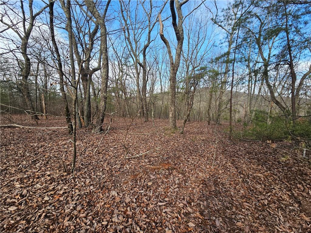 00 Old Federal Road Property Photo 37