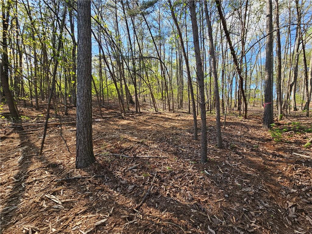 00 Old Federal Road Property Photo 48