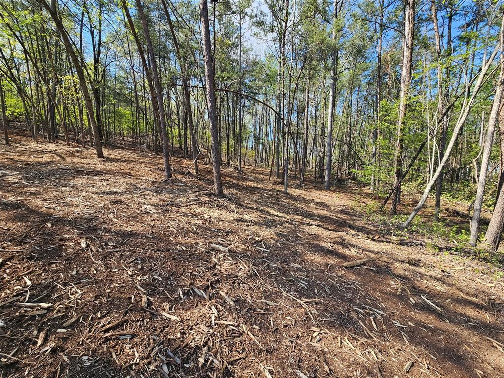 00 Old Federal Road Property Photo 52