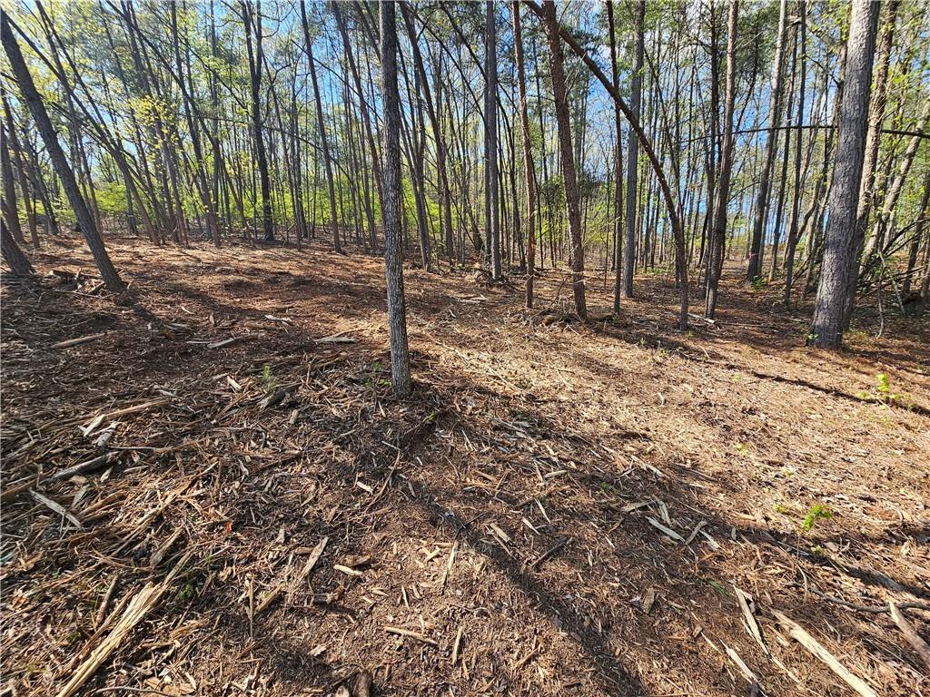 00 Old Federal Road Property Photo 55