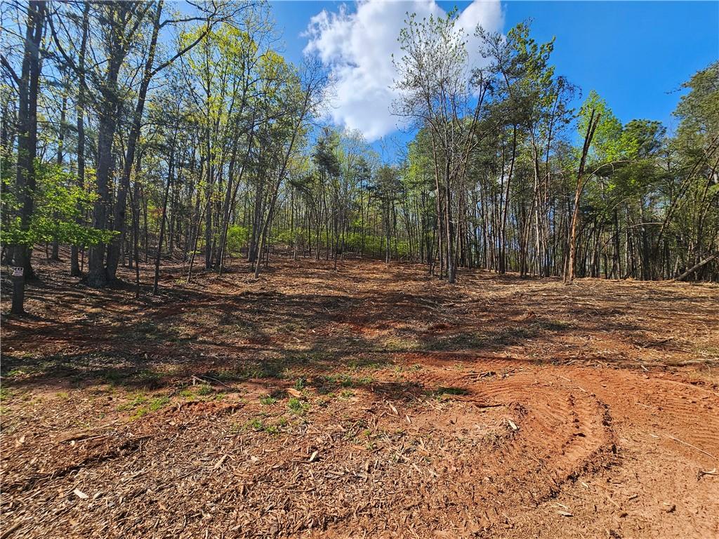 00 Old Federal Road Property Photo 56