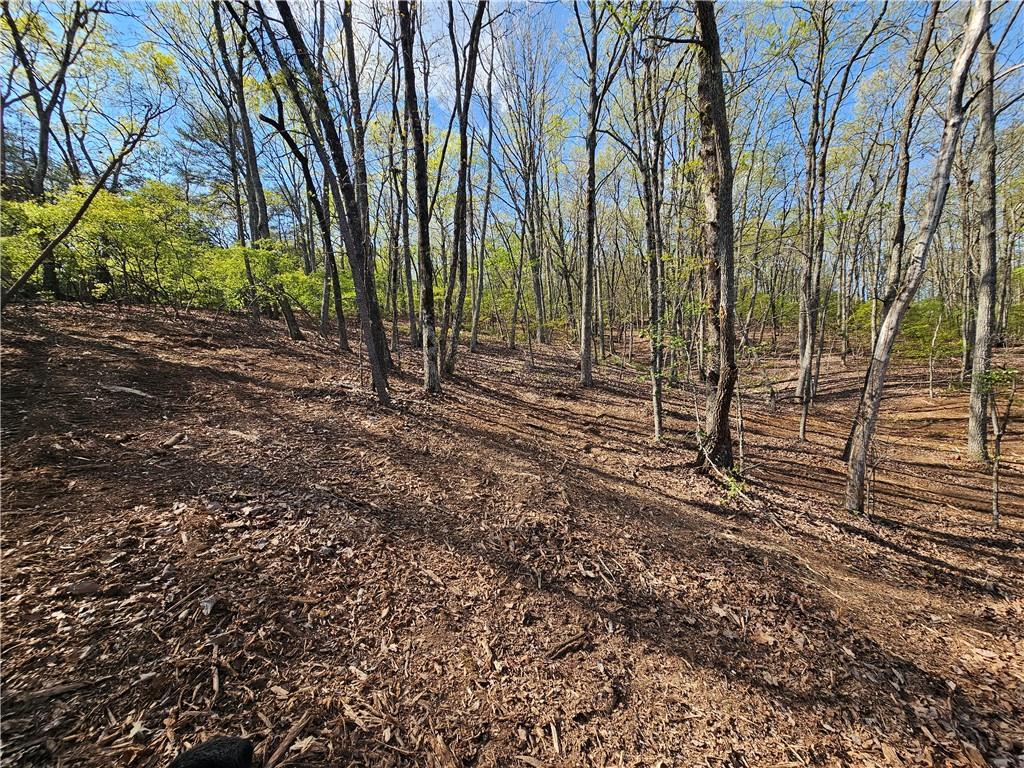 00 Old Federal Road Property Photo 58