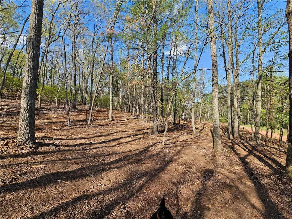 00 Old Federal Road Property Photo 63