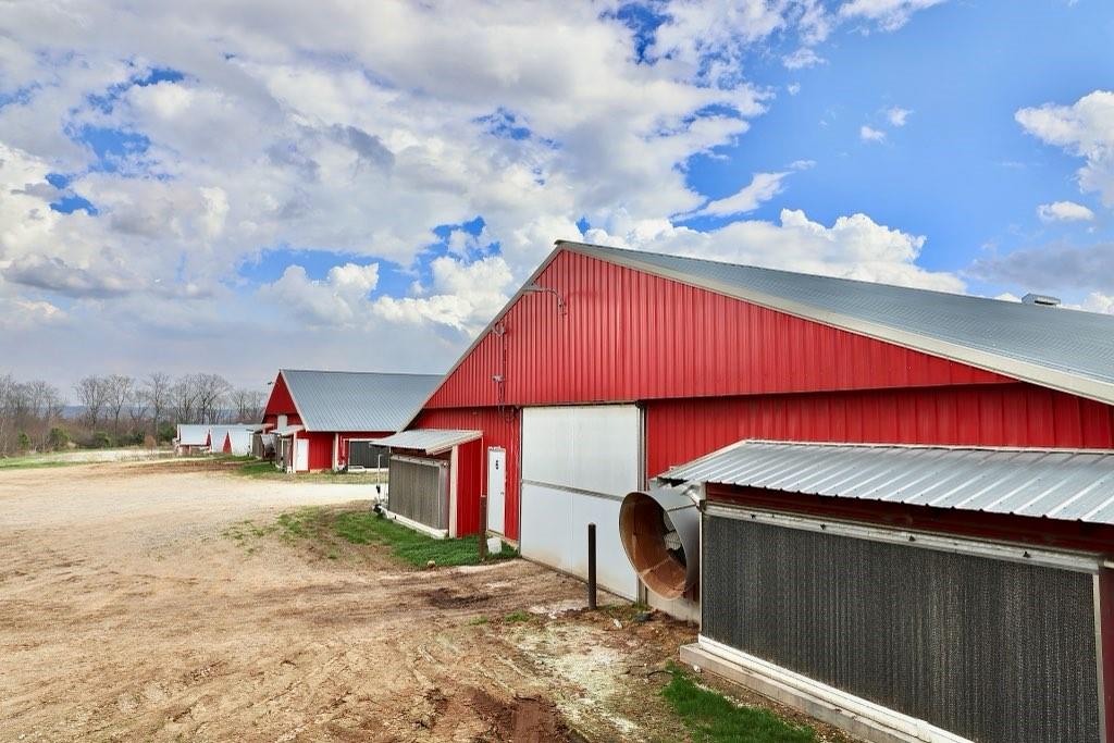 876 Wood Station Road Property Photo 10
