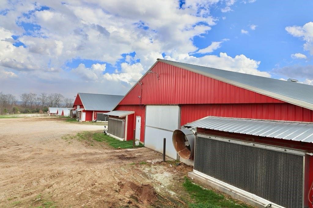 876 Wood Station Road Property Photo 12