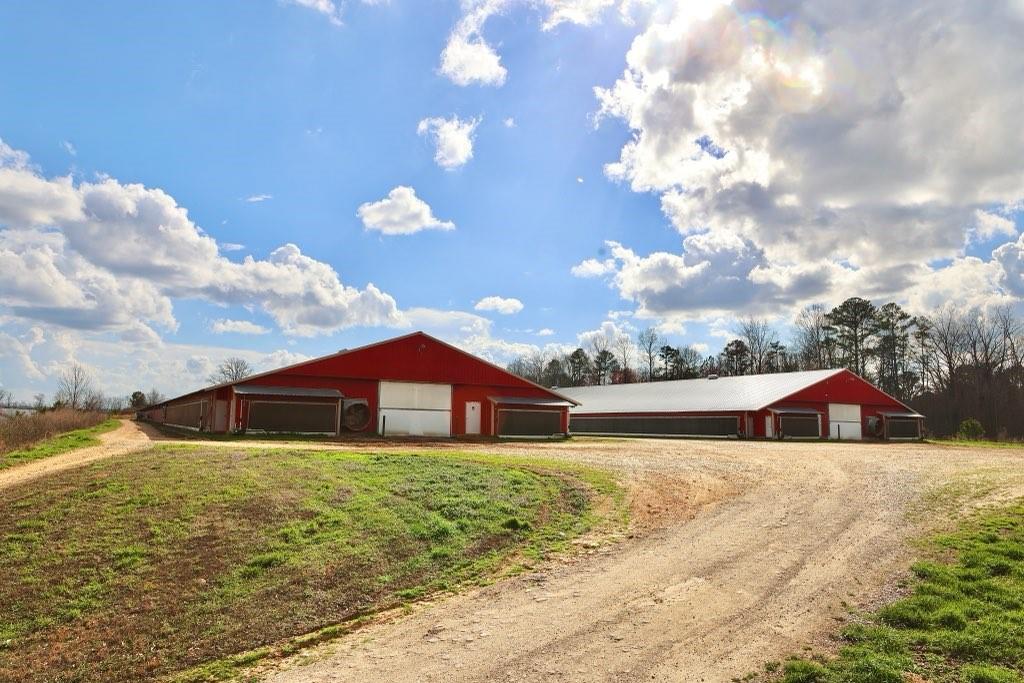 876 Wood Station Road Property Photo 14