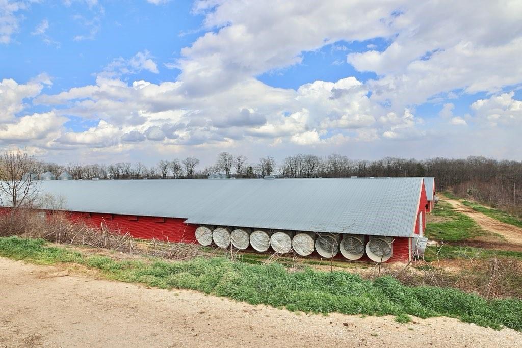 876 Wood Station Road Property Photo 15