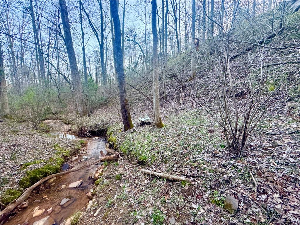 0 Hollybrook Parcel 2 Road Property Photo 1