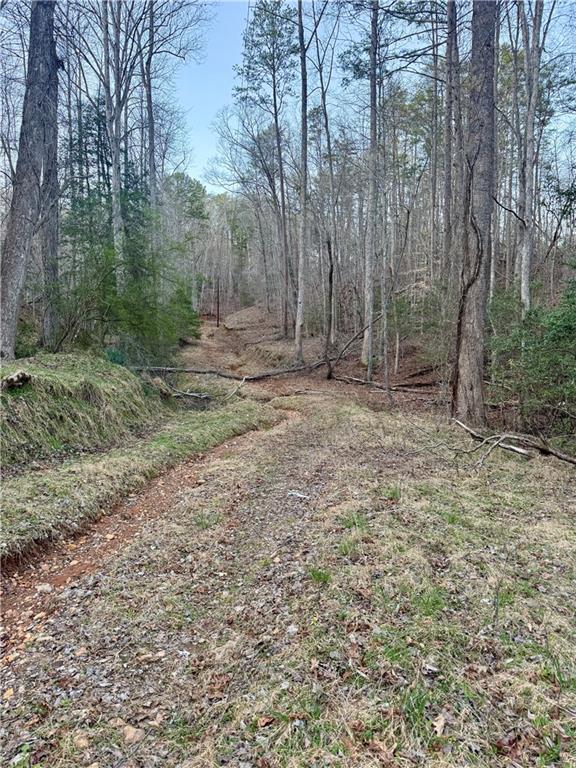 0 Hollybrook Parcel 2 Road Property Photo 2