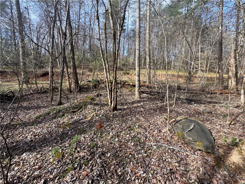 0 Hollybrook Parcel 2 Road Property Photo 3