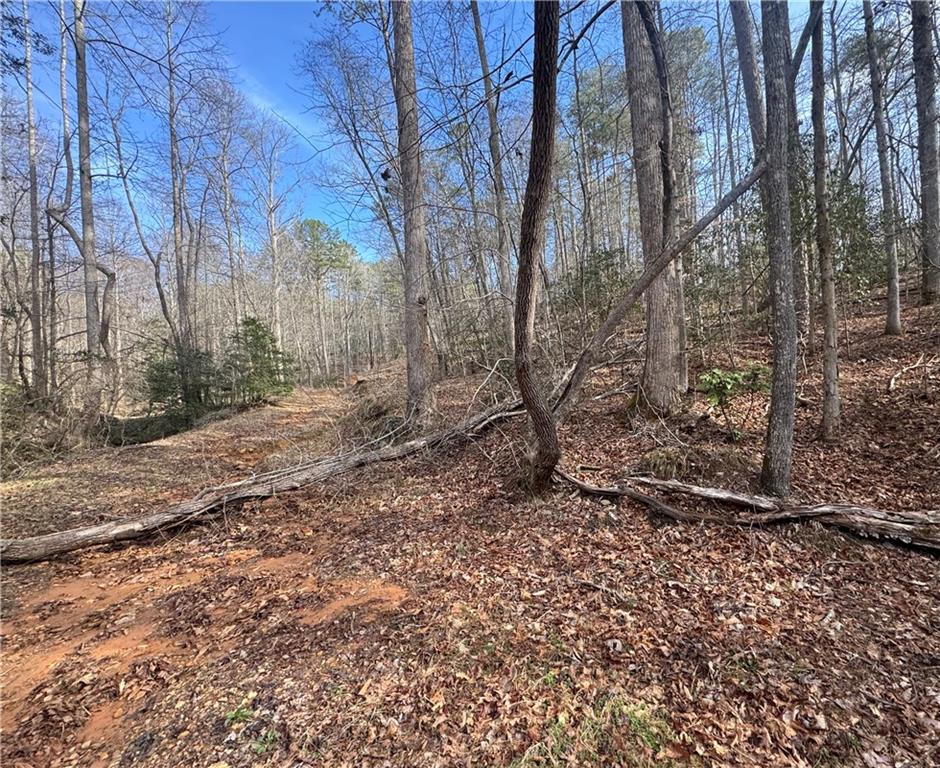0 Hollybrook Parcel 2 Road Property Photo 7