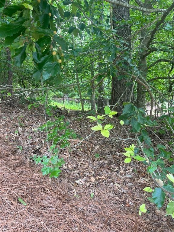 1894 Point River Drive Property Photo 5