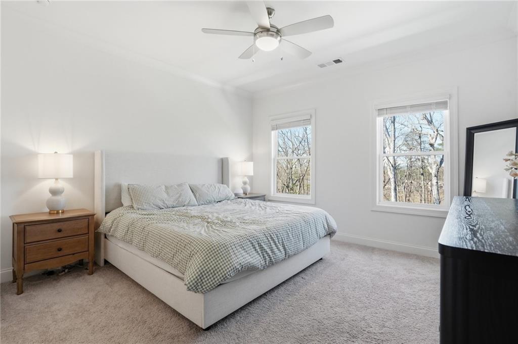 113 Basil Street Property Photo 18