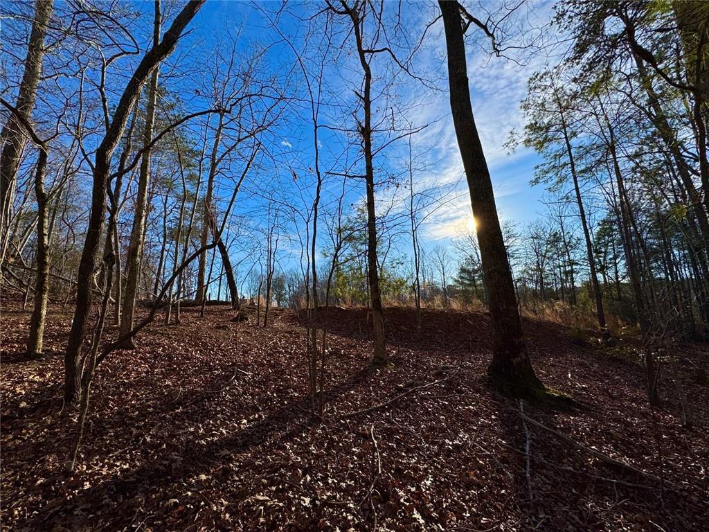 #9 #5 Bethany Road Property Photo 4