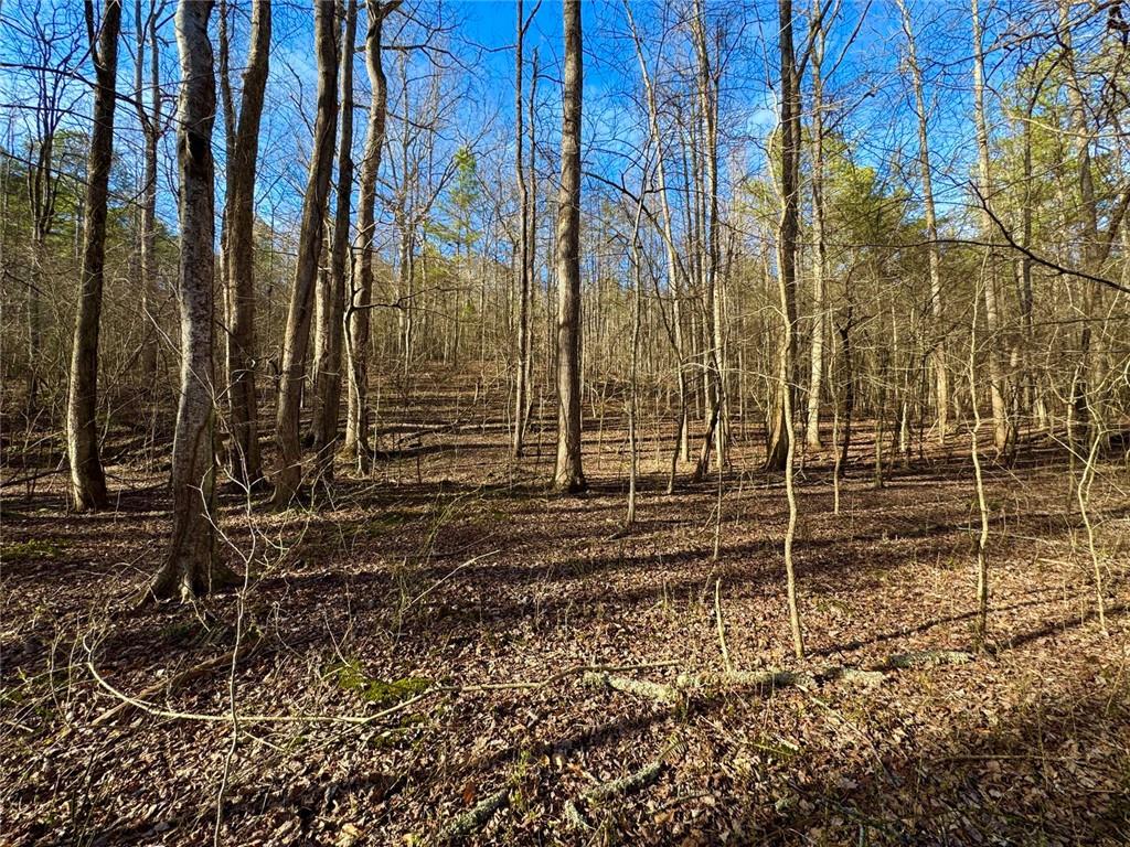 #9 #5 Bethany Road Property Photo 10