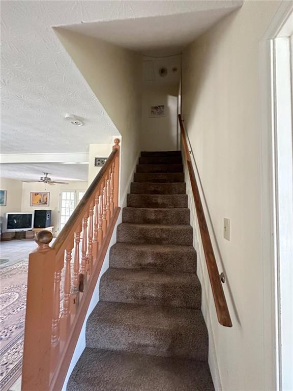 3550 Drum Roll Lane Property Photo 10