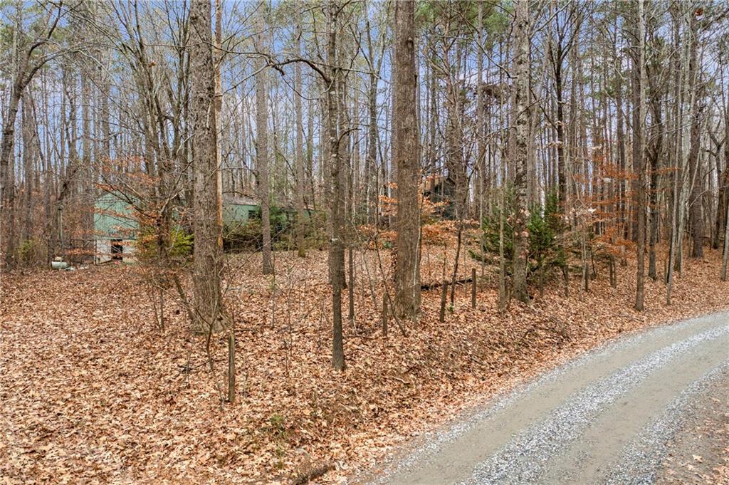 112 Wildwood Trail Property Photo 4