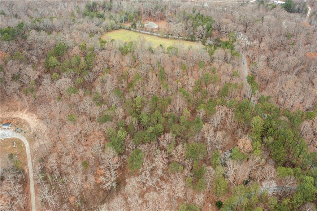 112 Wildwood Trail Property Photo 6