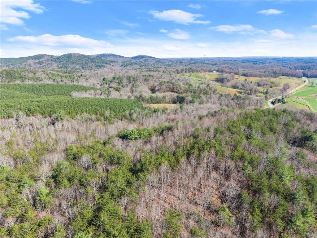 0 Elliott Family Parkway Property Photo 18