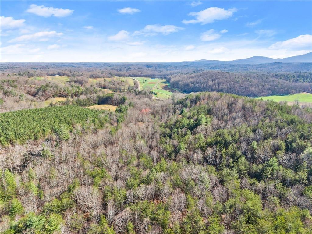 0 Elliott Family Parkway Property Photo 19