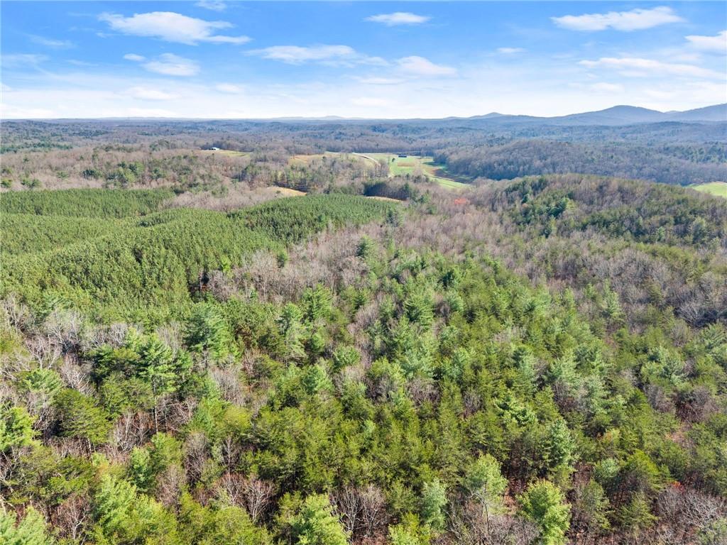 0 Elliott Family Parkway Property Photo 21