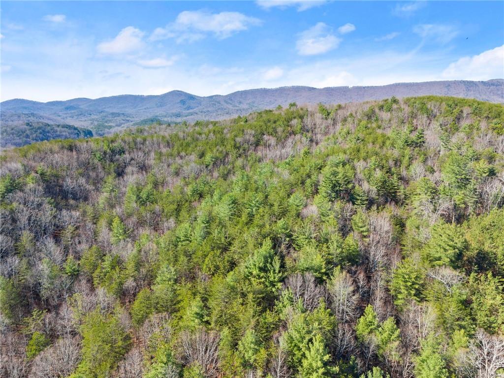 0 Elliott Family Parkway Property Photo 25