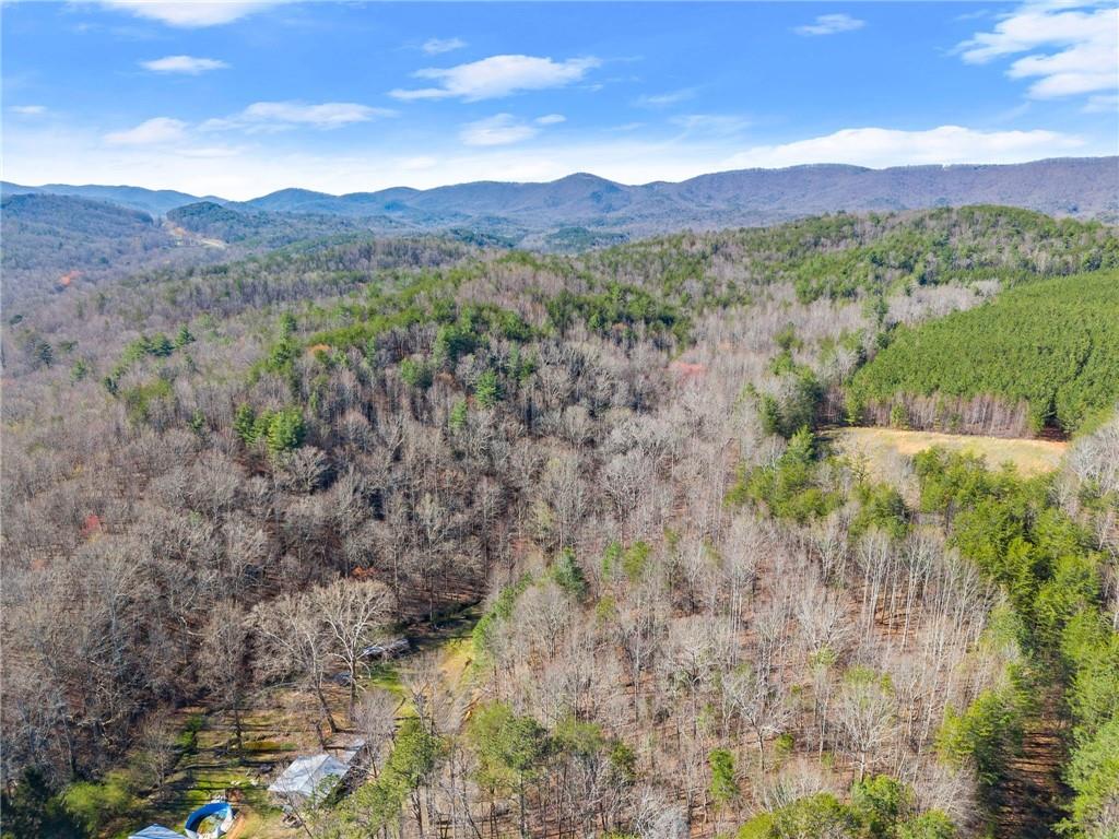 0 Elliott Family Parkway Property Photo 29