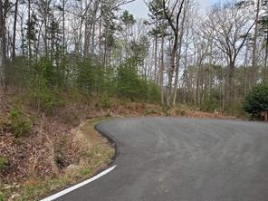 3513 Bear Creek Point Property Photo 2