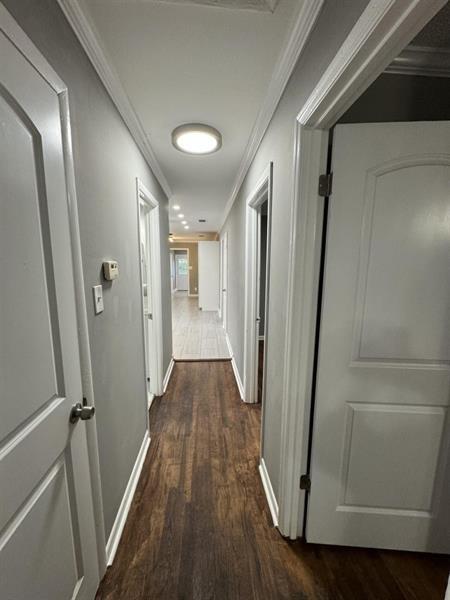 7740181 Property Photo 7