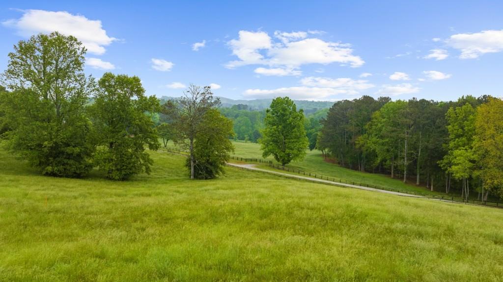 7740292 Property Photo 13
