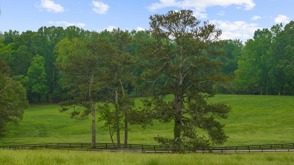 7740292 Property Photo 22