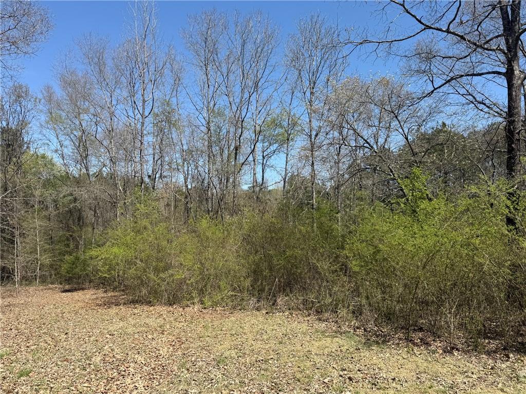 78 Mullinax Road Property Photo 1