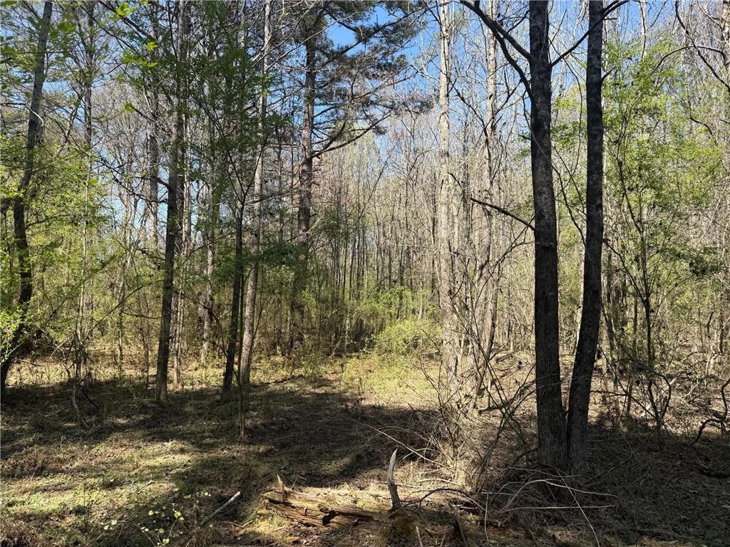 78 Mullinax Road Property Photo 2